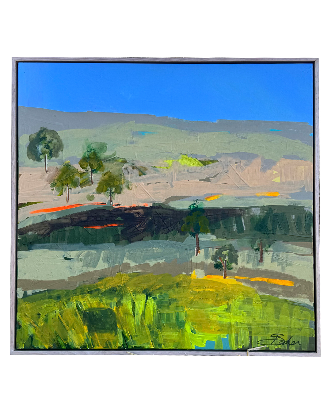 Abstract Landscapes 'Earth in Fragments'
