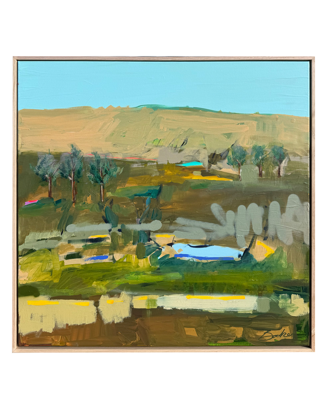 Abstract Landscapes 'Geometry in the Wild'