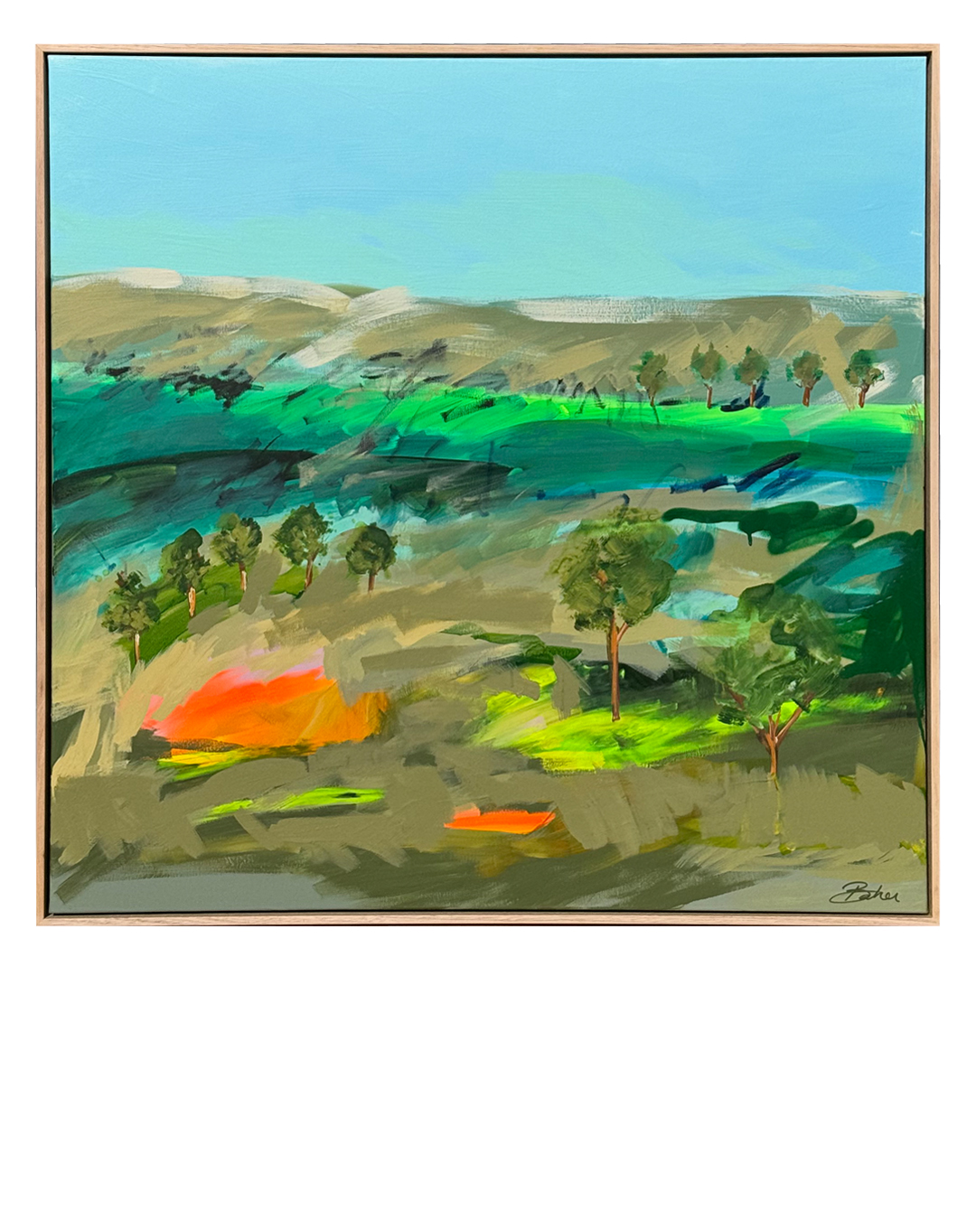 Abstract Landscapes 'Aussie Landscapes'